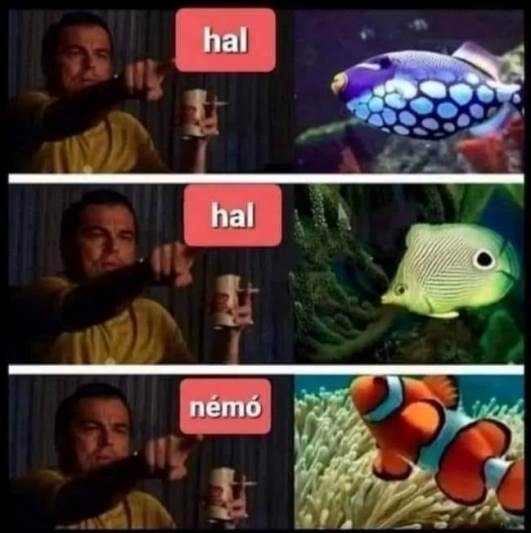 Mit tudtok a halakról?