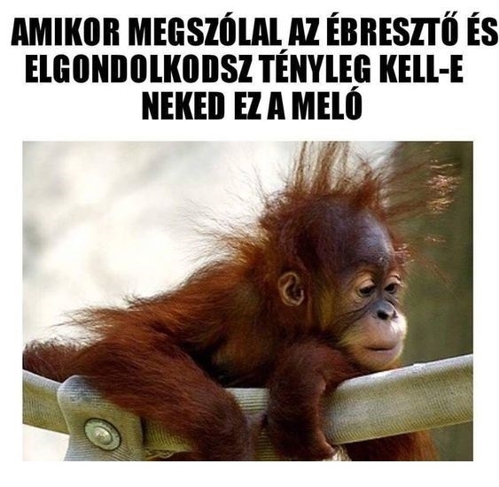 Kitartás, holnap már péntek 🙂