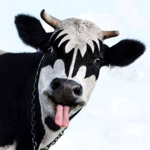 Nagy hardrock rajongó lehet