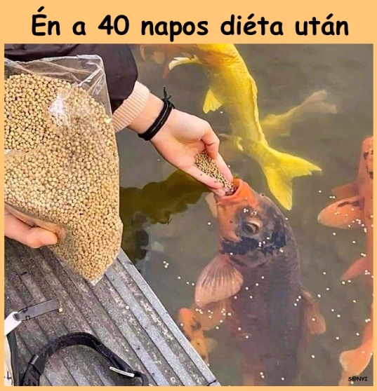 Jöhet bármi, csak sok legyen és jó