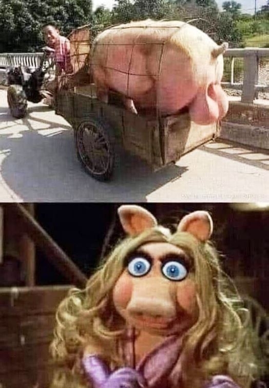 Kiült a döbbenet az arcára