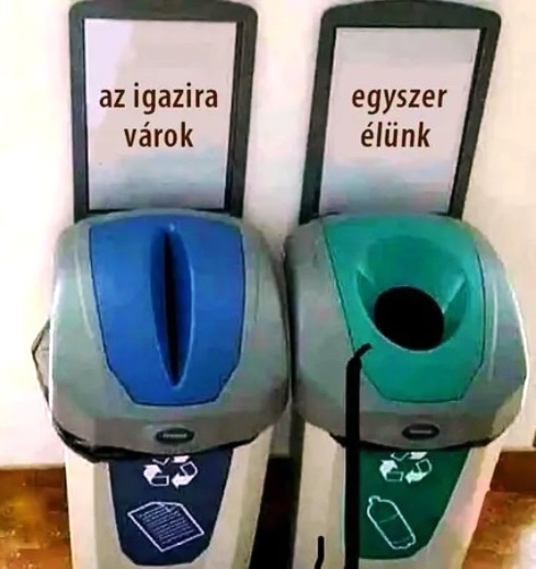 Többféle csaj létezik