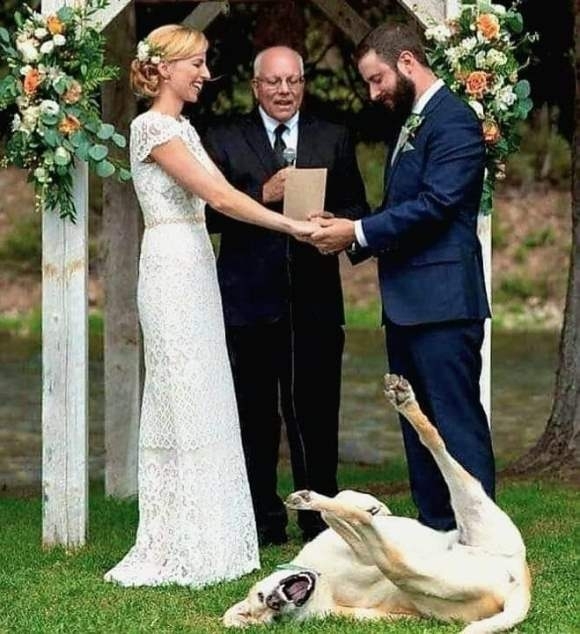 Mindenki számára boldog pillanat