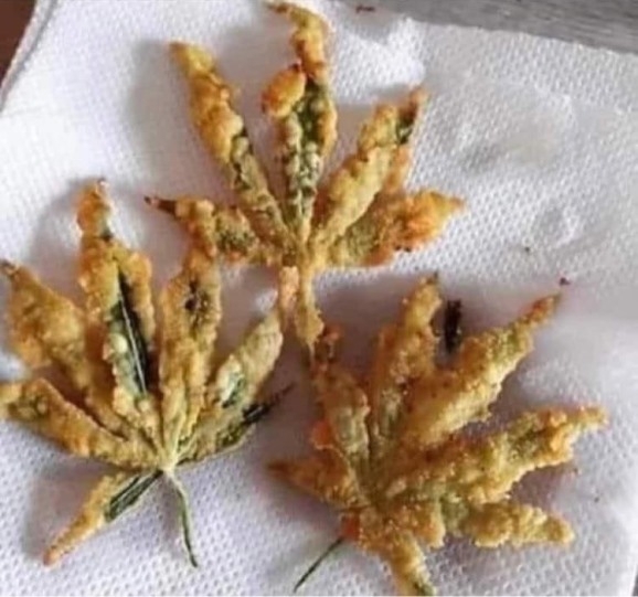 Egy órával azután, hogy a kormány bejelentette