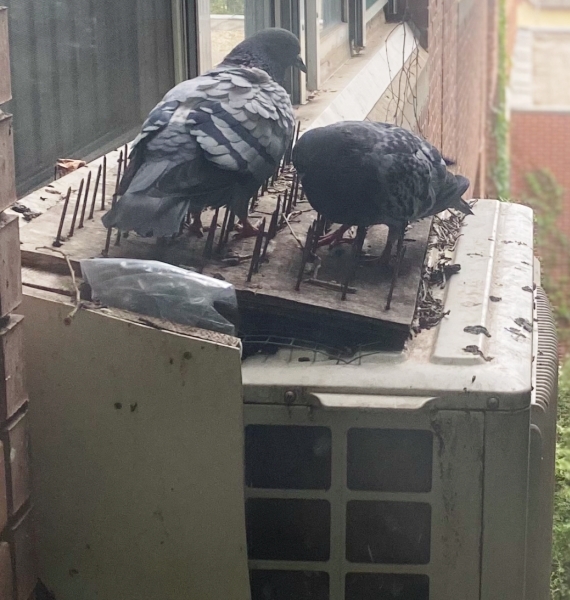 Minket senki ne szabályozzon!