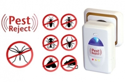 Így űzze ki a rovarokat és rágcsálókat otthonából ősszel, télen! (x)