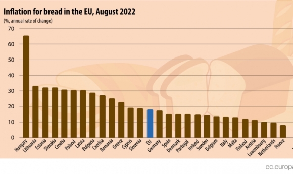 Van, amiben az elsők vagyunk!