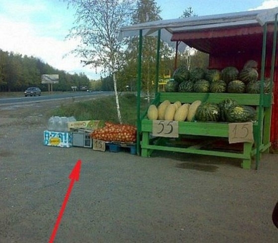 Álcázott traffipax