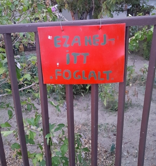 Szigetszentmiklóson járunk