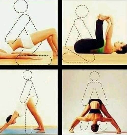 Ahogy a pasik látják a jógát 🙂