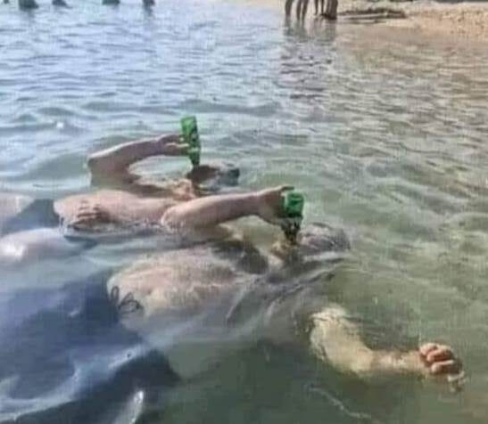 A nyáron elvégeztem egy palackos búvártanfolyamot