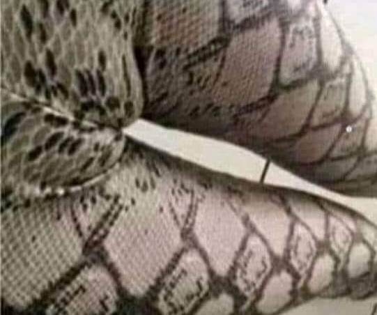 Egy veszélyes kígyófaj