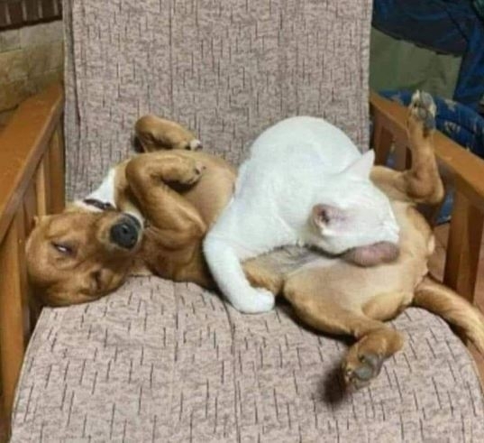 Ezek lehetnénk mi is, de te vissza sem írsz