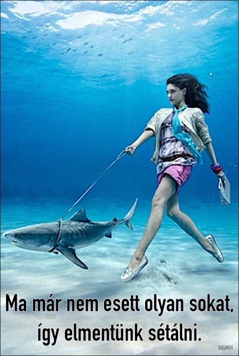 Kicsit borús idő van