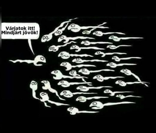 Így születnek a hazudósok