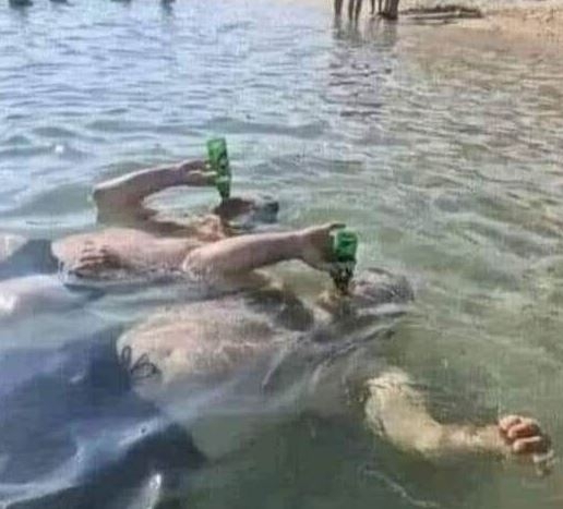 Nyáron elvégeztünk a haverral egy palackos búvártanfolyamot