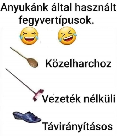 Otthoni fegyvernemek