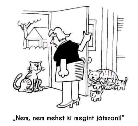 Ma játssz egyedül a farkaddal!