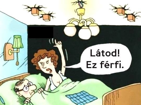 Dolgozik a mamutfenyő 🙂