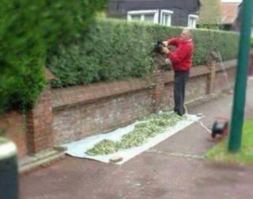 Szerintem az új szomszédom holland