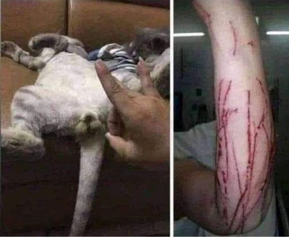 Minden tettnek van következménye!