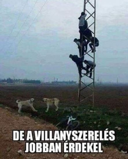 Amikor mennétek tűzelőért