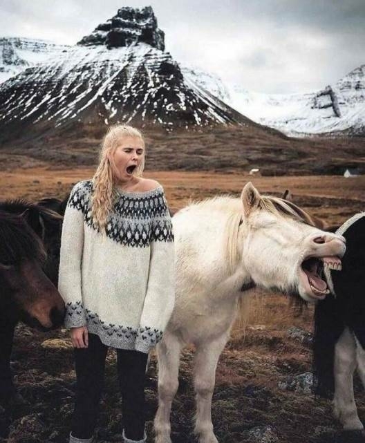 Álmosan indul a szerda reggel 🙂