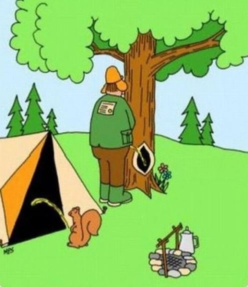 A fennálló elképzelések szerint a természet örök egyensúlyban van