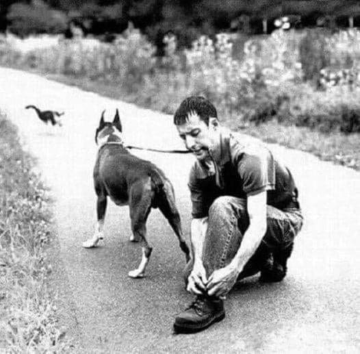 Egy fogprotézis története