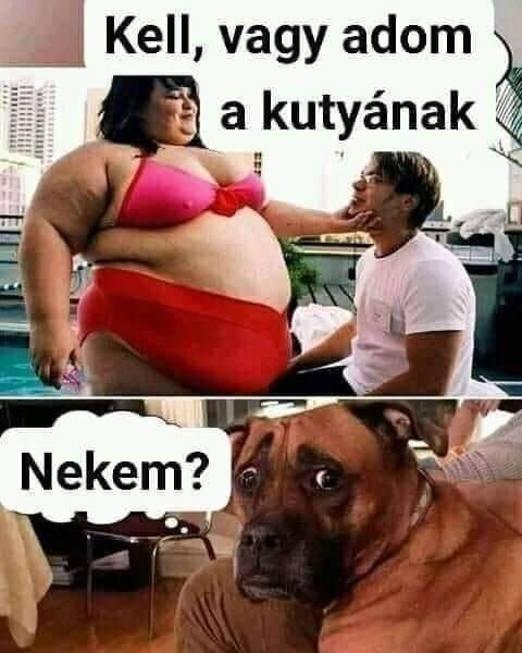 Ezen az ajánlaton még Brúno is meglepődött 🙂