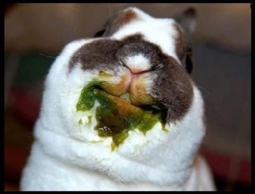 Amikor hányás után visszamész a buliba