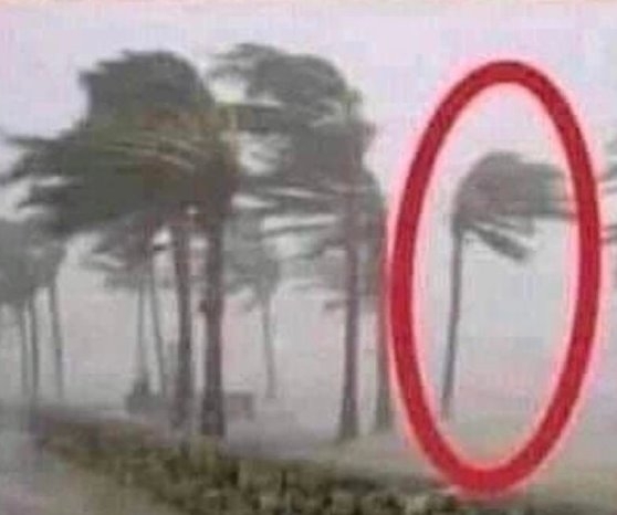 Nekem ne mondja meg senki!