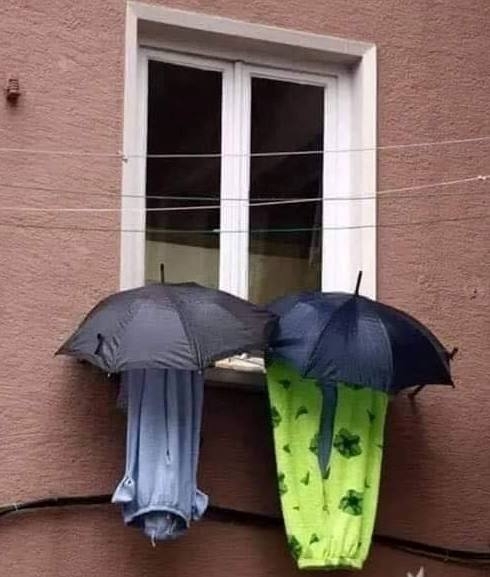 Ha egy nő eldöntött valamit, akkor az úgy is lesz