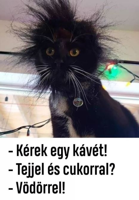 Kemény éjszakája lehetett