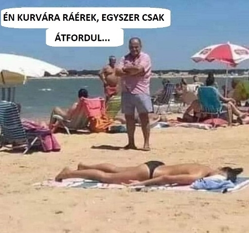 Fater a tengerparton hiénázik