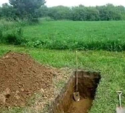 A feleségem elkezdett kertészkedni