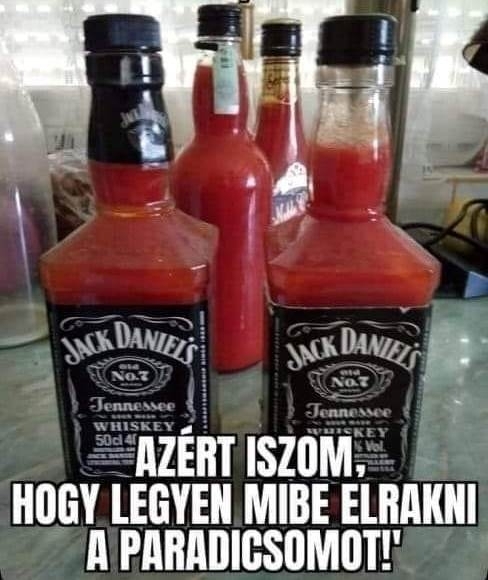 Megindokolta a dolgot