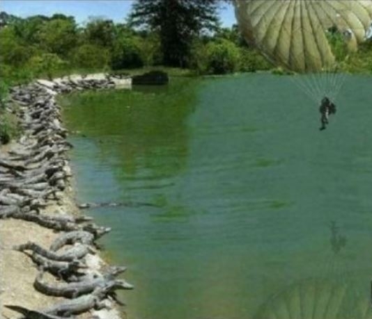 Pics@ba, pics@ba, pics@ba!