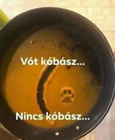 Cirmi is megéhezett