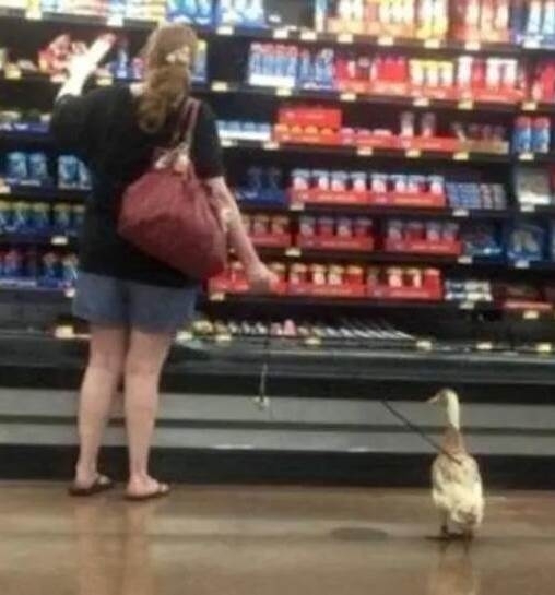 Eközben reggel a boltban