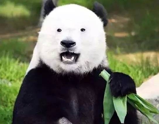 Amikor egy szemüvegs cimborád leveszi az okulárét