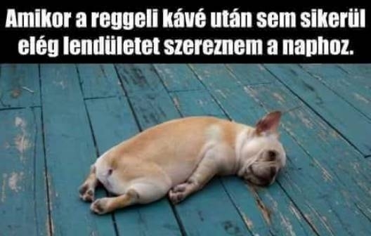 Kitartás, holnap már péntek 🙂