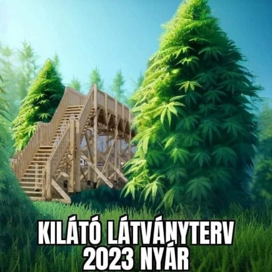 Tele lenne a környék vidám túristákkal