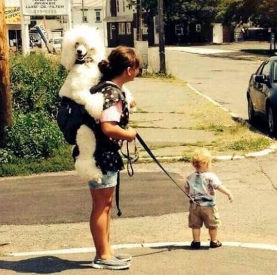 Ez a fotó még reggel készült, kávéivás előtt