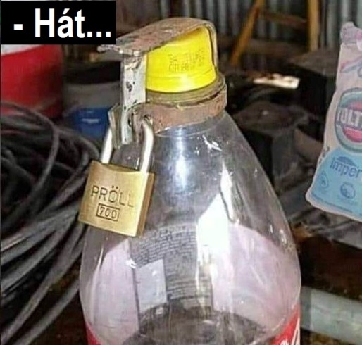 Haver, és milyen a kapcsolatod a munkatársaiddal?