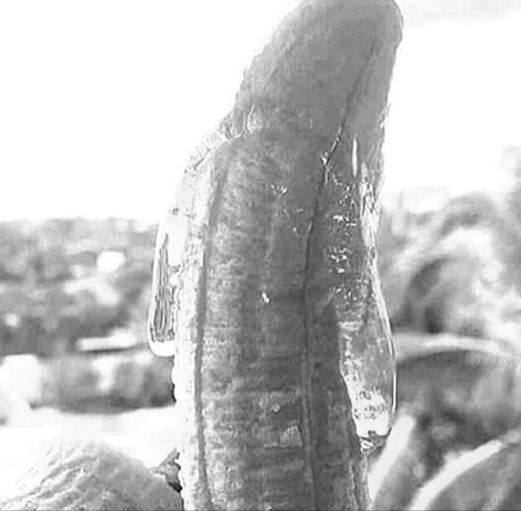 Amikor a csaj petting közben szól, hogy tulajdonképpen stoppon van