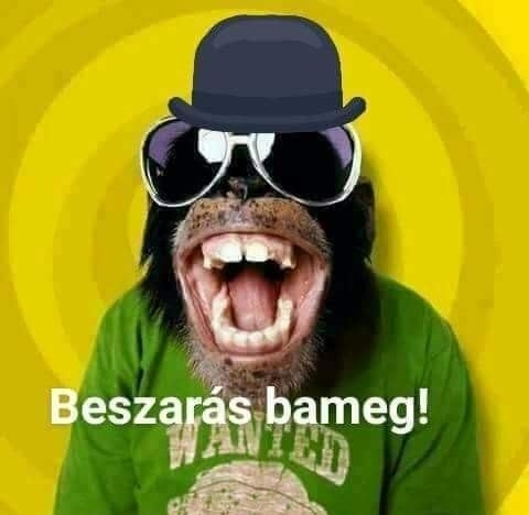 Nem az a bátor, aki sose fél,