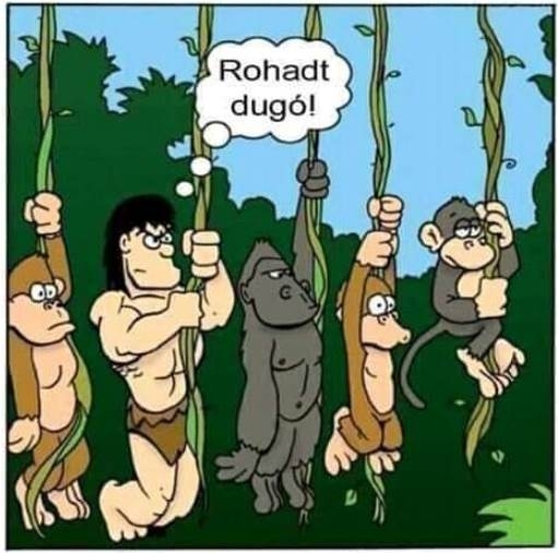 Tarzan és a reggeli csúcsforgalom