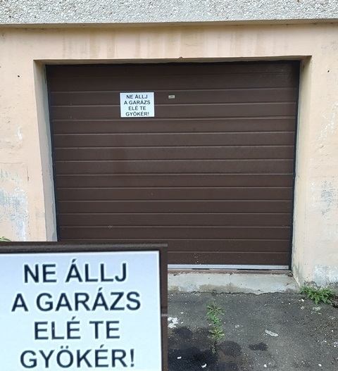 A Csongrád megyei Szentesen is élnek kedves emberek