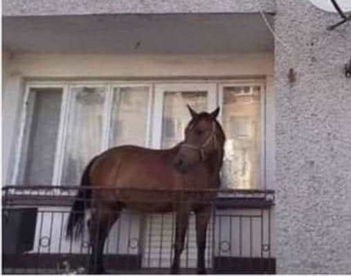 Rózsa Sándor meglátogatta a szeretőjét